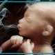 تاثیر دخانیات بر جنین