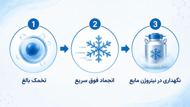 فرایند انجماد تخمک