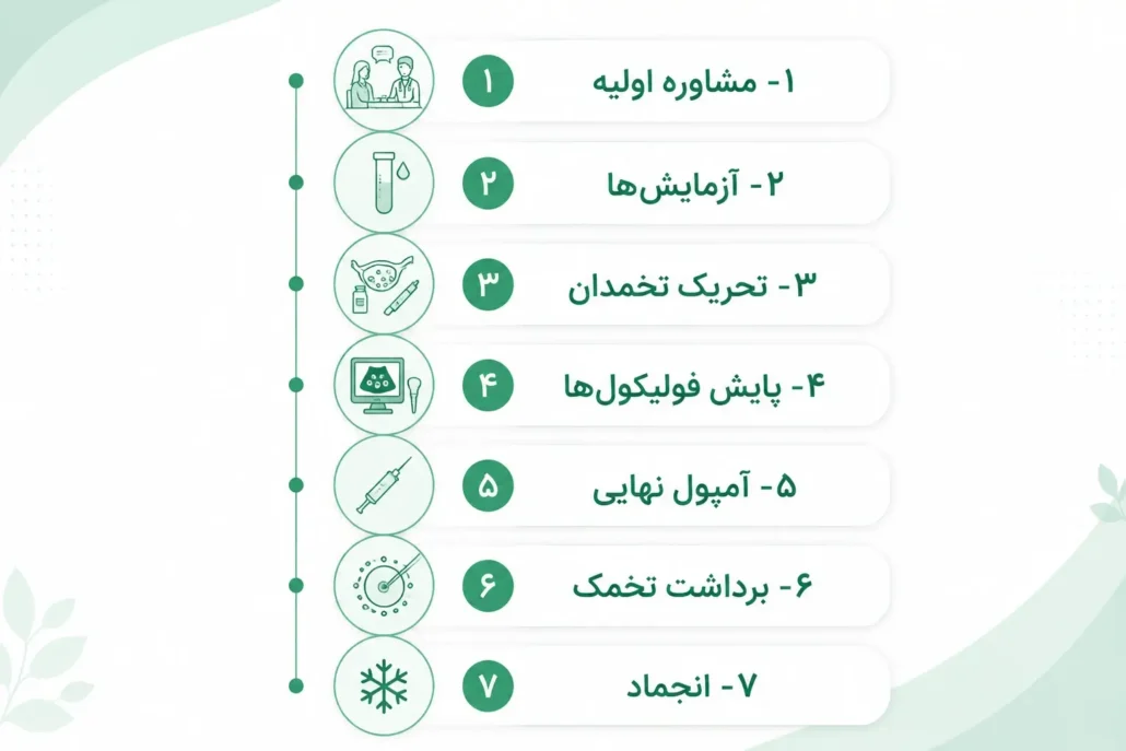 مراحل فریز تخمک
