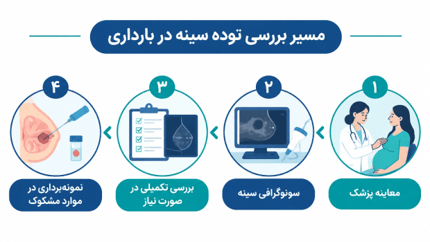 کیست سینه در بارداری؛ اینفوگرافیک مسیر تشخیص از معاینه تا نمونه‌برداری