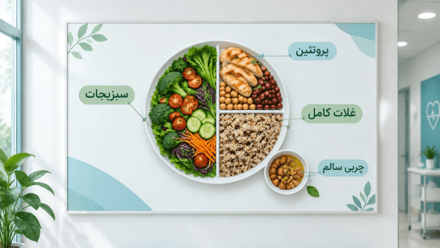 اینفوگرافیک بشقاب تغذیه لاغری شکم و پهلو